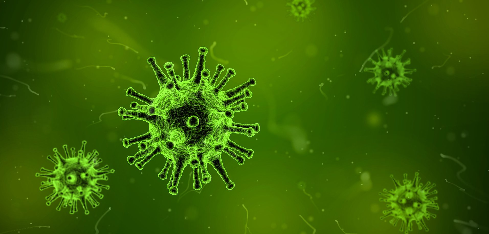 Symbolbild Mikroskopische Aufnahme von einem Virus