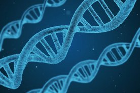 dna gene forschung