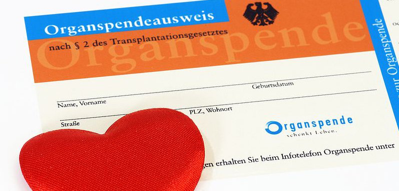 Organspendeausweis Organspendeausweis