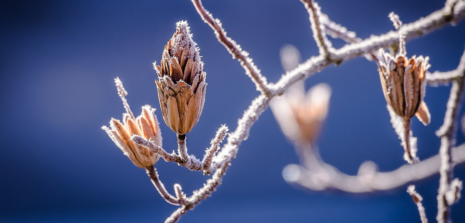 Winter Raynaud-Syndrom im Winter
