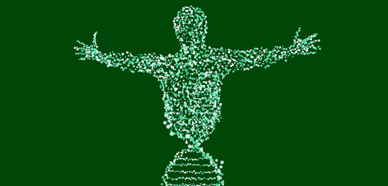 Illustration oben Mensch, unten DNA, dargestellt mit grünen Punkten