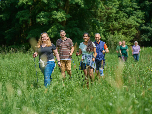 Gruppe von Menschen beim Nordic Walking