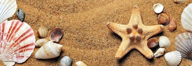 Strand Urlaub Strand Urlaub