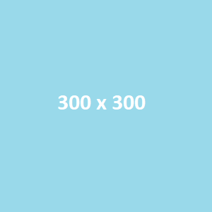  Alternativer Text des Bildes 300x300