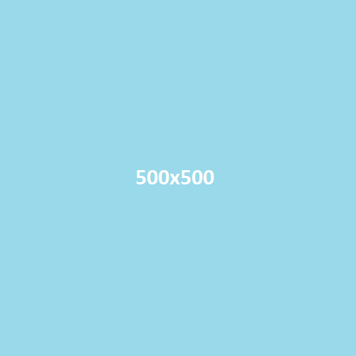 Alternativer Text des Bildes 500x500